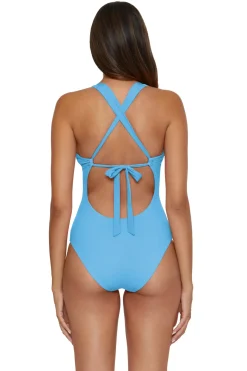 Gia Plunge One Piece Swimsuit