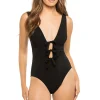Lenora Plunge One Piece Swimsuit