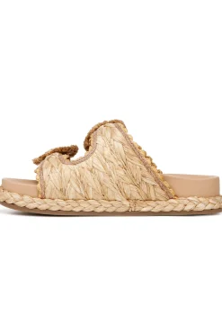 Reina Platform Slides