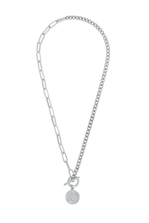 Stacie Toggle Chain Coin Necklace