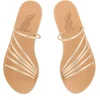 Adriani Slides