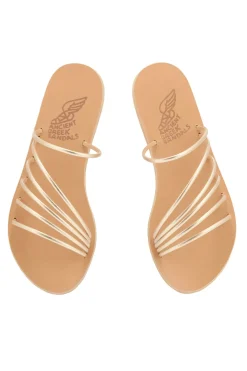 Adriani Slides
