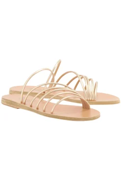 Adriani Slides