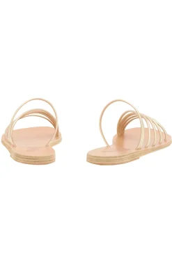 Adriani Slides