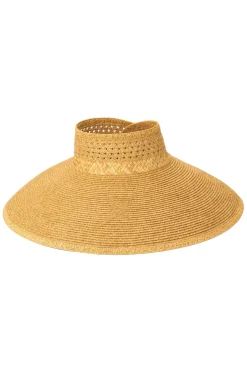 Full Coverage Visor