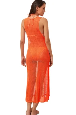 Mesh Midi Dress