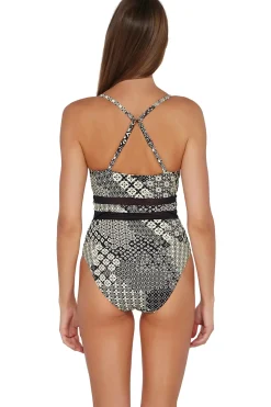 Alexia Mesh One Piece Swimsuit