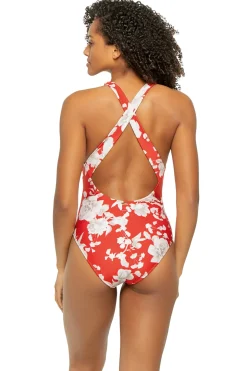 Lisa Plunge One Piece Swimsuit