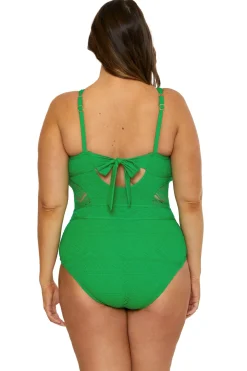 Lucia Plunge One Piece Swimsuit