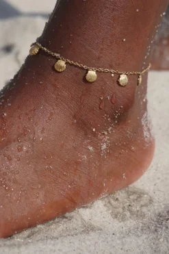 Regina Shell Anklet