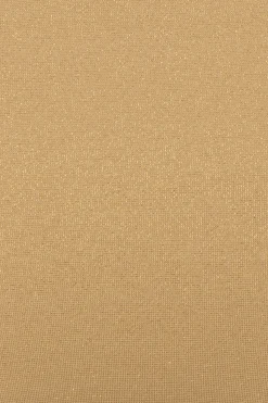 Ryan Shimmer Underwire Bikini Top